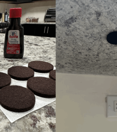 As maneiras mais fáceis de deixar sua casa com um cheiro incrível