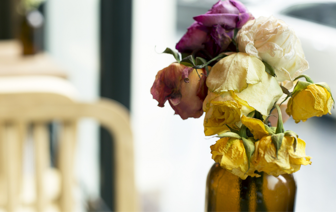 Meus presentes favoritos para o Dia dos Namorados (que não são flores)