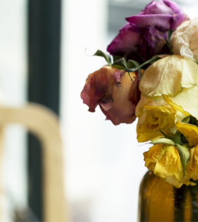 Meus presentes favoritos para o Dia dos Namorados (que não são flores)