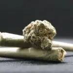 A Brisa da Lemon Haze: Entenda o Efeito Refrescante e Energizante dessa Variedade de Cannabis