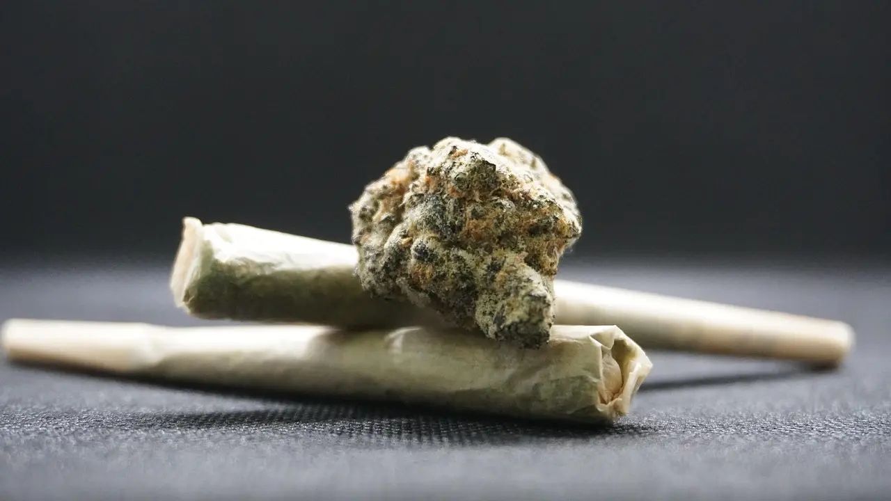 A Brisa da Lemon Haze: Entenda o Efeito Refrescante e Energizante dessa Variedade de Cannabis