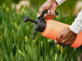 produto agrícola