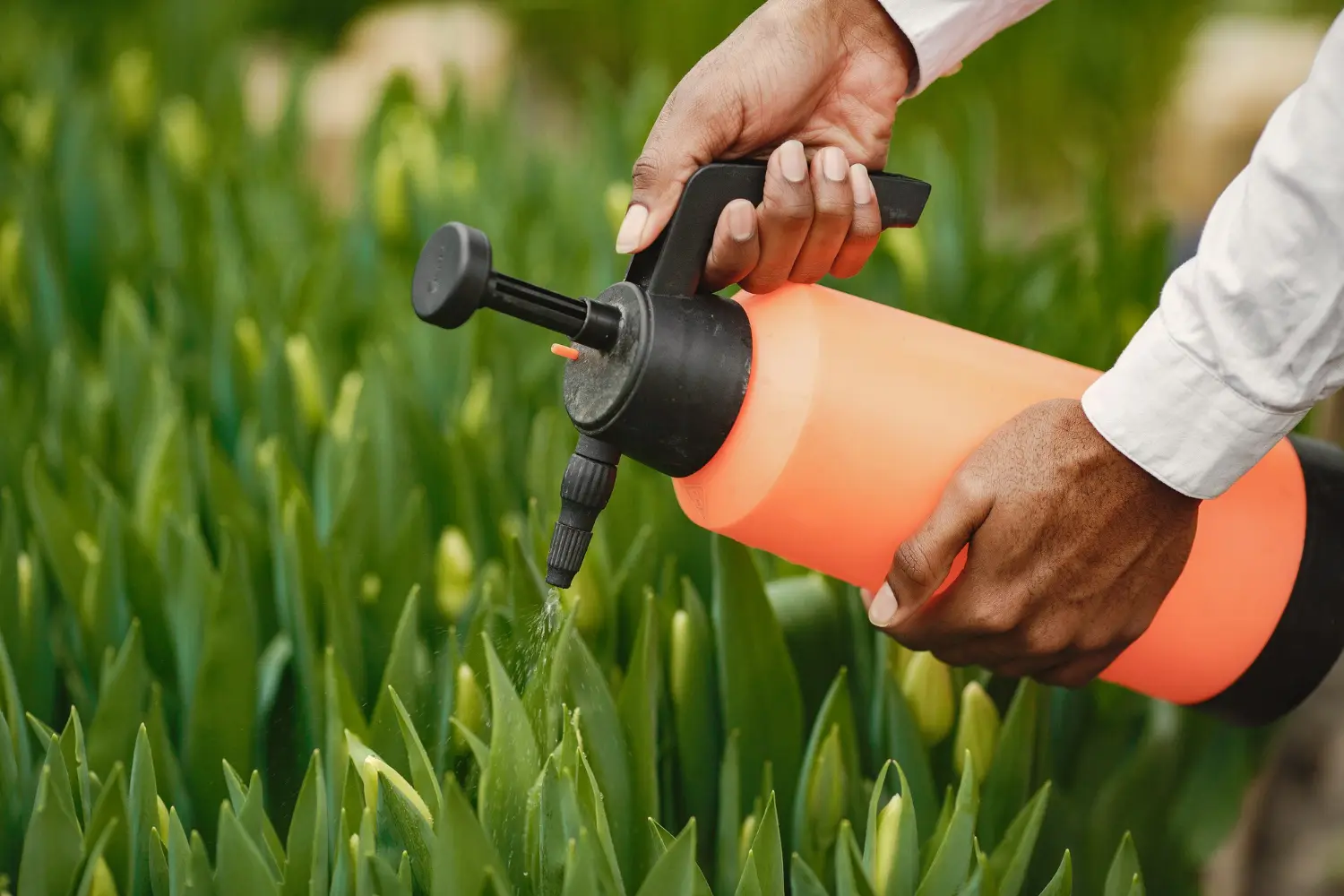produto agrícola